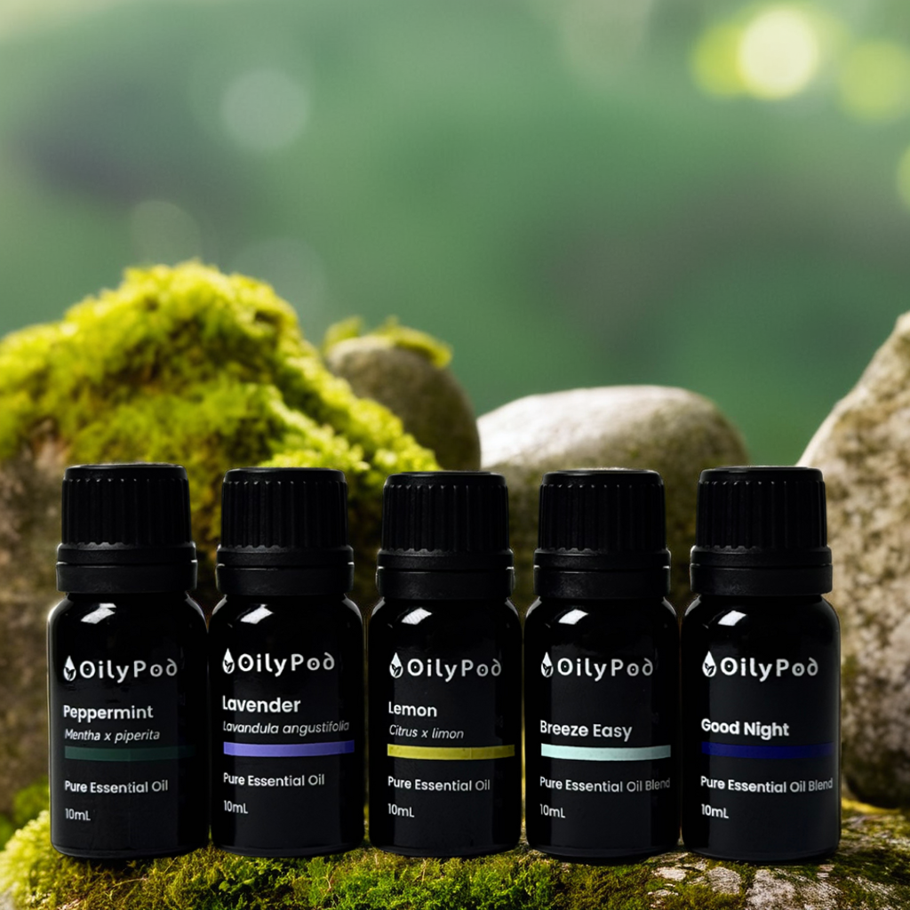 OilyPod Breeze Easy Essential Oil Blend 10ml - 100% Pure & Natural, Respiratory Support & Refreshing Aroma