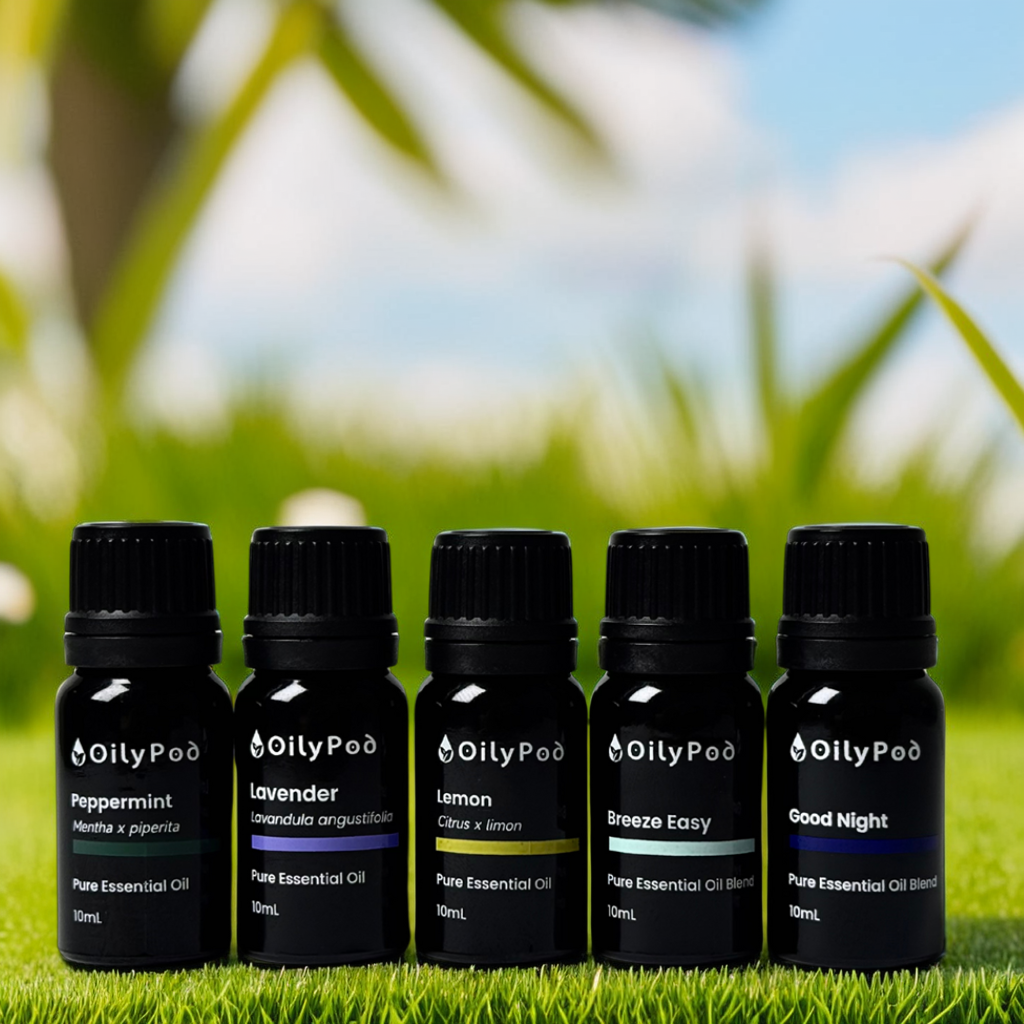 OilyPod Breeze Easy Essential Oil Blend 10ml - 100% Pure & Natural, Respiratory Support & Refreshing Aroma