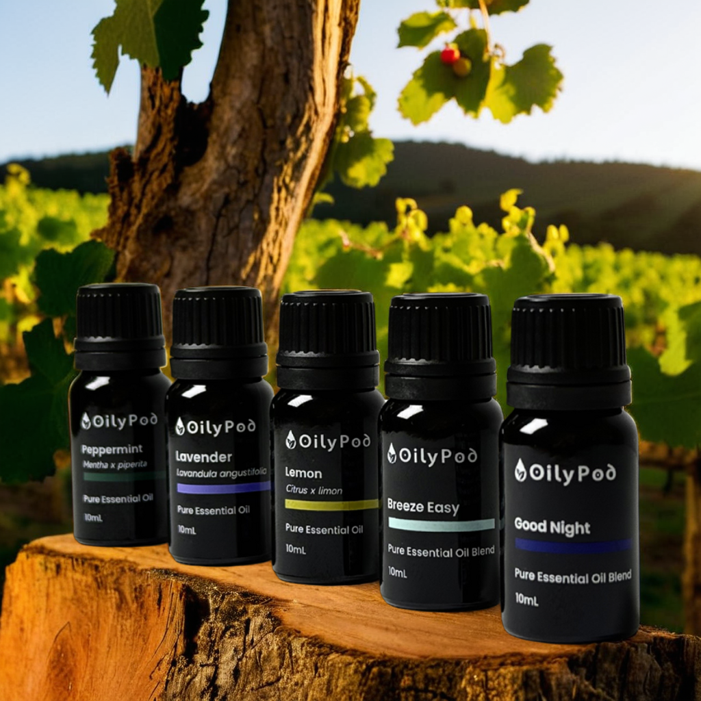 OilyPod Breeze Easy Essential Oil Blend 10ml - 100% Pure & Natural, Respiratory Support & Refreshing Aroma